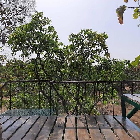 Hornbill Farm Resort Хайдарабад Экстерьер фото