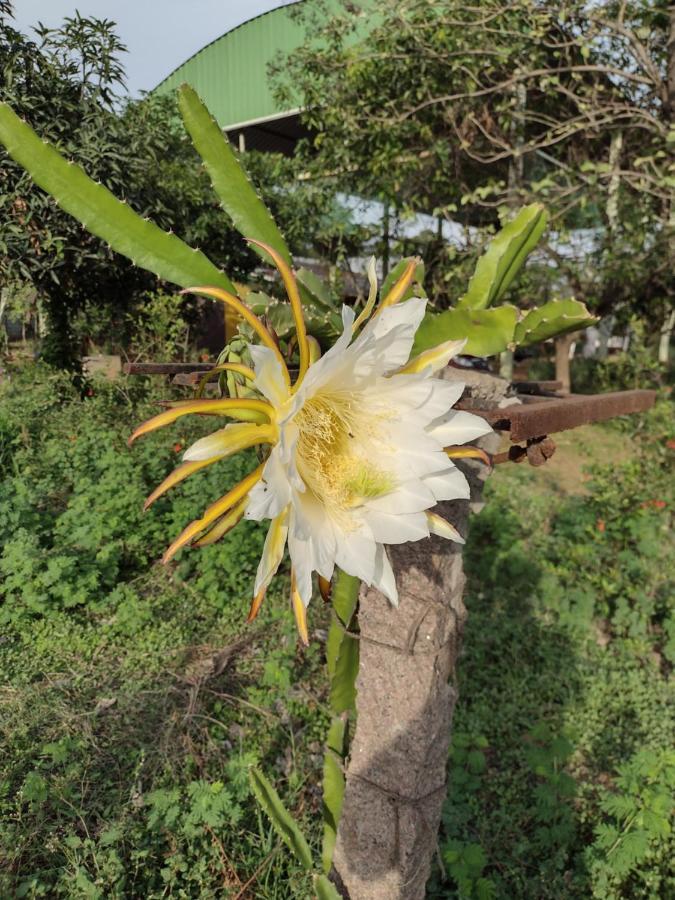 Hornbill Farm Resort Хайдарабад Экстерьер фото